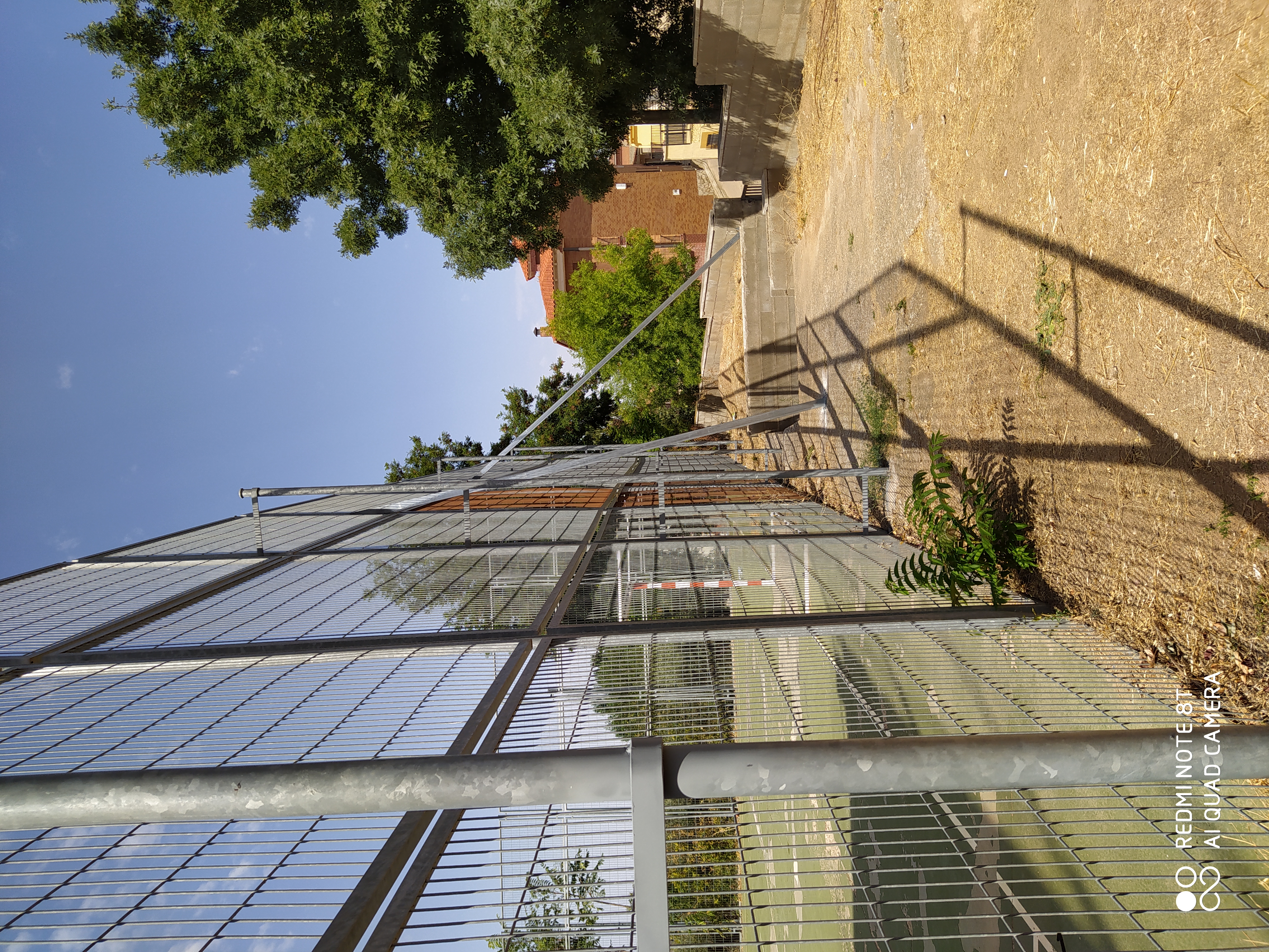 IMG 20200807 11301 IMG 20200807 11301